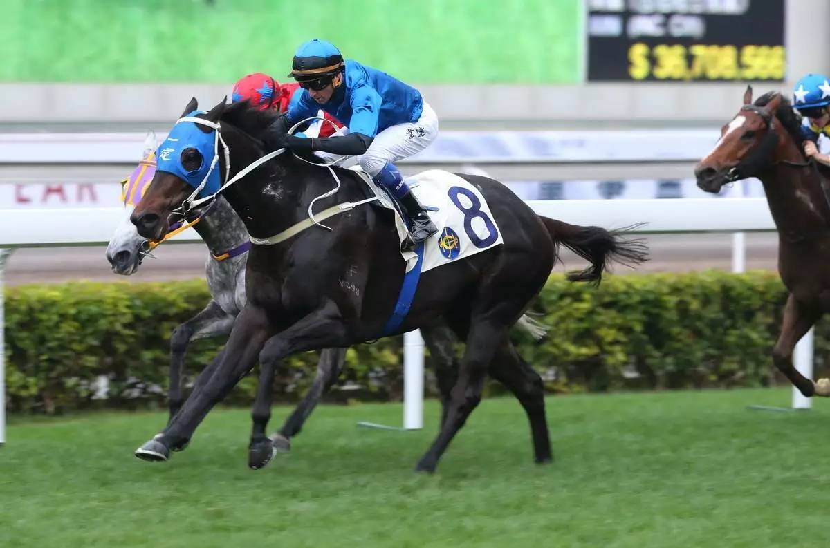 关于时事热点：运动新星光芒四射的信息